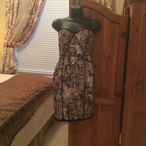 BCBG Dress